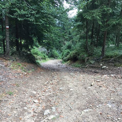 THE BEST Places to Visit in Rimbach (2025) - Must-See Attractions