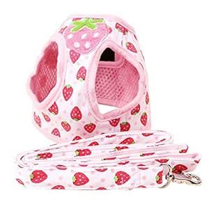 Futaba Strawberry Printed Adjustable Dog Vest Harness - S : Amazon.in ...