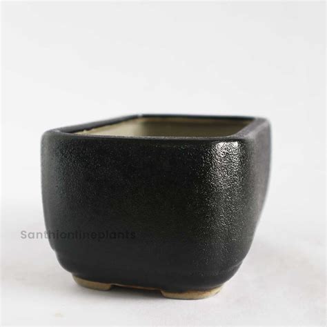 Rectangular Bonsai Black Pot – Santhi Online Plants