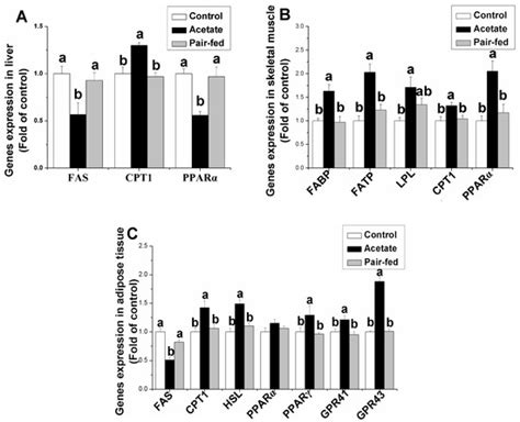 Acetate Affects the Process of Lipid Metabolism in Rabbit Liver ...