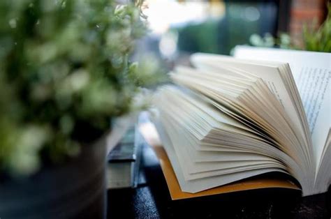 Image result for Book Report Introduction Examples