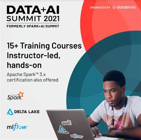 Databricks AI Course 的图像结果
