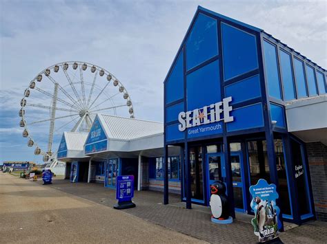 Discover under the sea at Sea Life Great Yarmouth