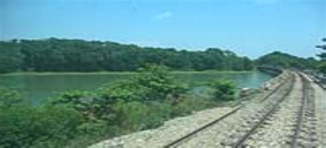 Vistadome Train Safari
