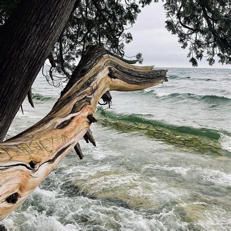 PORT DES MORTS PARK (2026) All You Need to Know BEFORE You Go (with ...