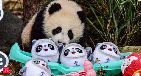 Olympic winners get plush panda then medal - The system | The Economic ...