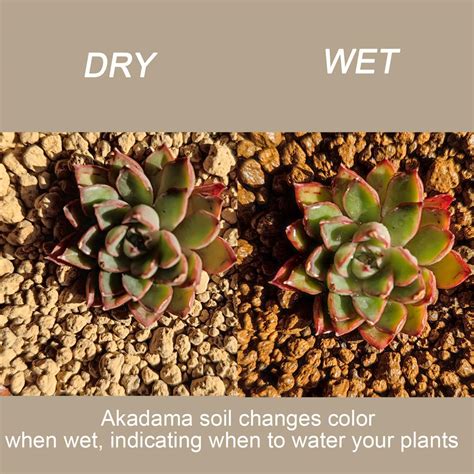 Rurtsva Akadama Bonsai Soil 2lbs Horticultural Potting Soil India | Ubuy