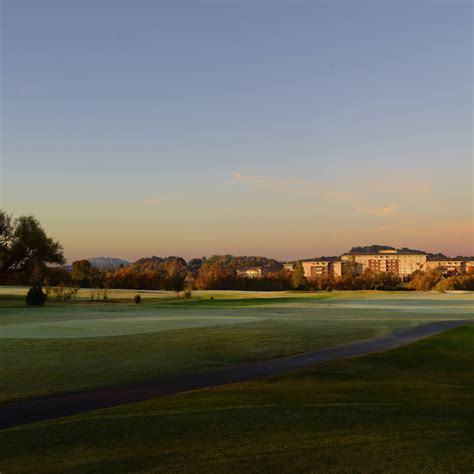 Cattails at MeadowView Golf Course | MeadowView Conference Resort ...