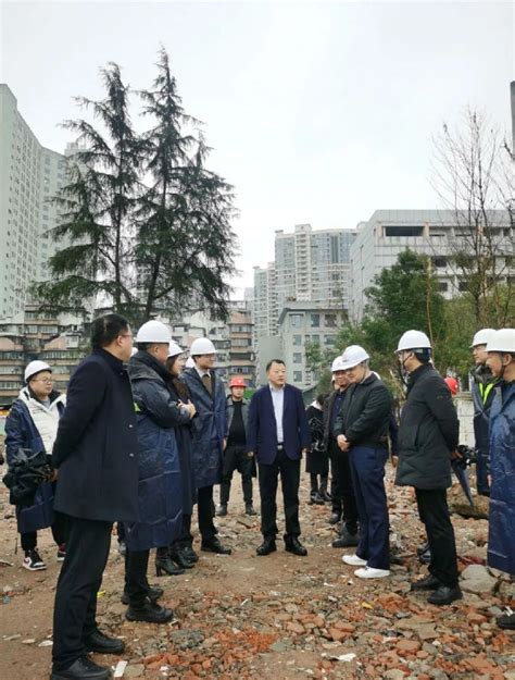 集团董事长视察指导宜昌区域公司项目建设工作_集团新闻_西部投资集团_西部投资集团