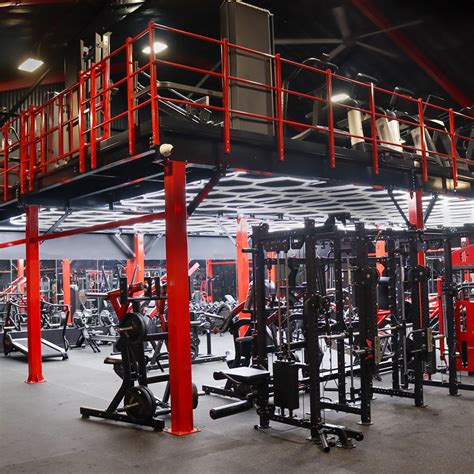 Gym Equipment 的图像结果