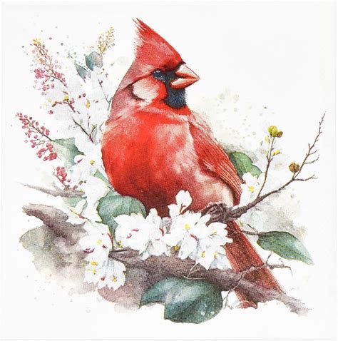 Amazon.com: Gift Boutique - 100 Christmas Red Cardinal Cocktail ...