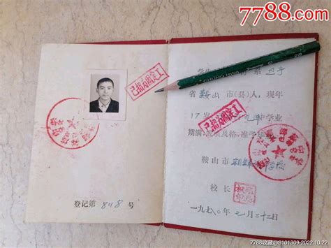 上海市民身份证办理提速：急需者7天内可发放新证|界面新闻
