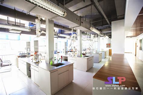 实验室 的图像结果