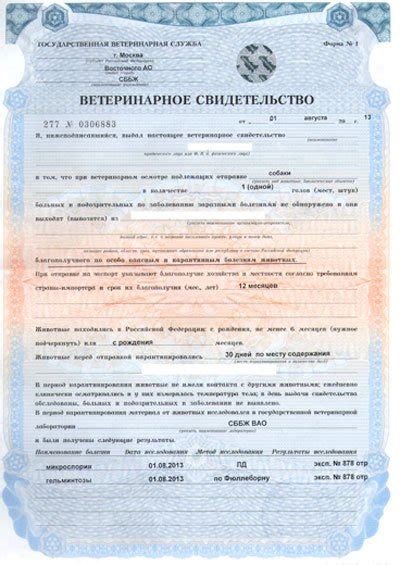 Ветеринарное свидетельство формы №1
