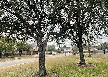 Image result for Houston TX Tree Service