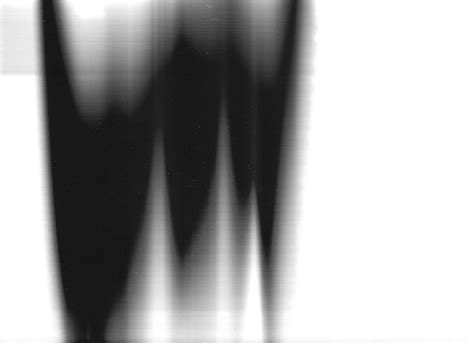 Image result for PhotoModeler Scan Overlay