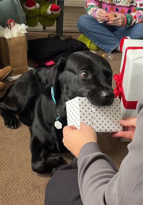 2.52K hearts, 23 shares | Faby Monteiro (@fabythemommy)