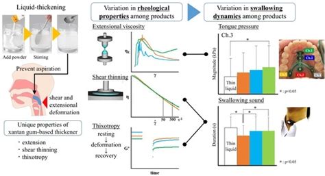 The Impact of Rheological Characteristics on the Swallowing Dynamics of ...