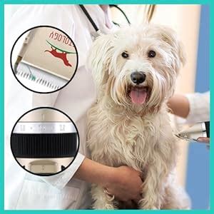 Petology Professional Automatic Rechargeable Pet Hair Trimmer With ...