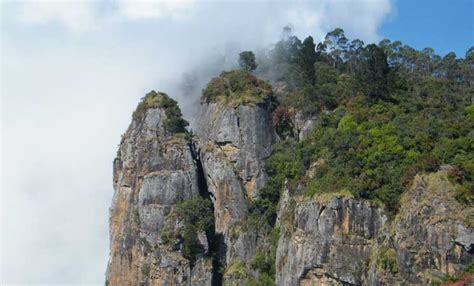 5 Day Trip from Bangalore | Ooty & Kodaikanal | Price calculator