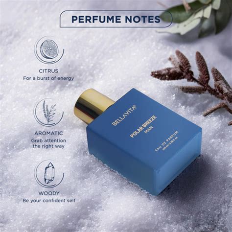 Buy BELLAVITA POLAR BREEZE Perfume for Men|Citrusy & Woody Notes|Long ...