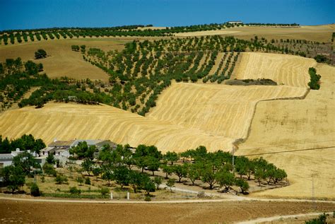 Agriculture In Spain