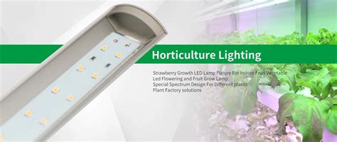 Company Overview - GMY Lighting Technology Co., Ltd.