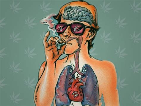 Effects of Cannabis on Your Body: What You Need to Know – CannaMeds India