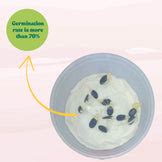 Sponge Gourd (luffa or gilki) Seeds - 12 Seeds (गिलकी के बीज) Easy To ...