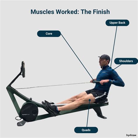 What Muscles Does a Rowing Machine Work? Full-Body Benefits Explained | Hydrow