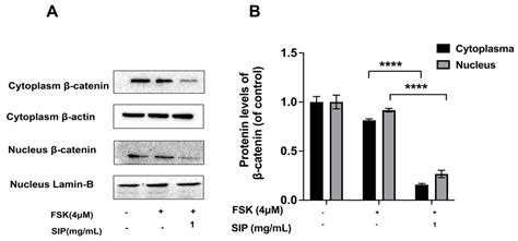 Anti-Melanogenesis Effect of Polysaccharide from Saussurea involucrata ...