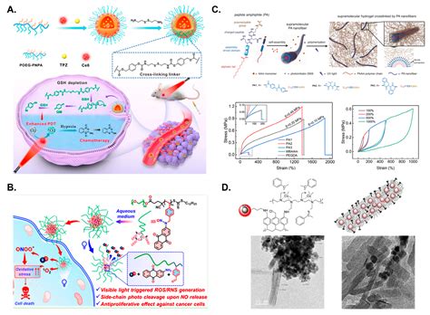 Self-Assembly of Block Copolymers to Prepare Advanced Materials with ...