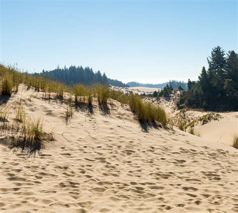 Sand Dunes Oregon