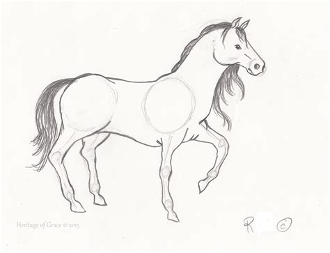 Simple Horse Drawing