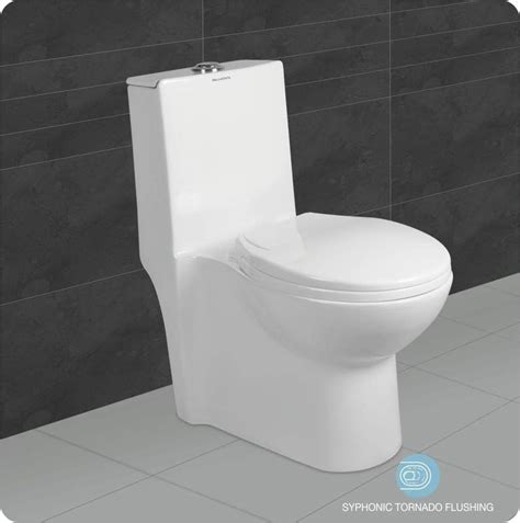 Belmonte Ceramic Floor Mounted Rimless One Piece Western Toilet/Commode ...