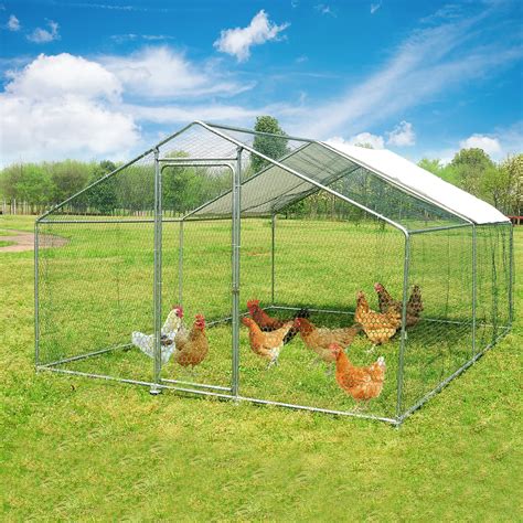 Large Metal Chicken Coop For 20 Chickens Walk In Poultry | Desertcart GB