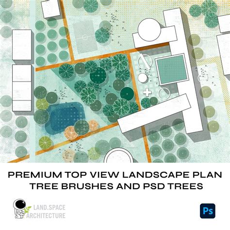 Premium Top View Landscape Plan Tree Brushes and PSD Trees - Personal ...