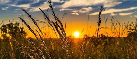 Maupin Funeral Home | Fulton, MO & Auxvasse, MO