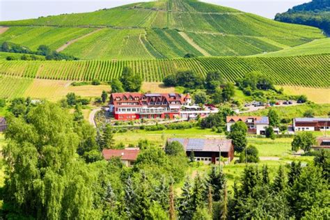 WO DER HAHN KRAHT (Heilbronn) - Inn Reviews, Photos, Rate Comparison ...