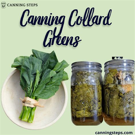 Best Canning Collard Greens Recipe for Long-Lasting Flavor