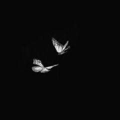 wajiha ashfaq (Ji-ah) Quotes | YourQuote