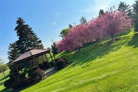 Davians Catering and Events - Venue - Menomonee Falls, WI - WeddingWire