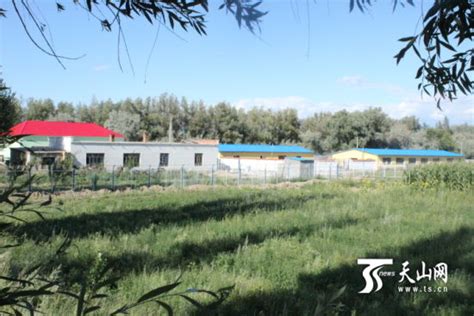 新疆布尔津县家庭牧场转型畜牧业规模化经营_新浪新闻