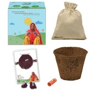 SeedRakhi Eco-Friendly Red Rakhi Cotton Embroidery Thread with Criss ...