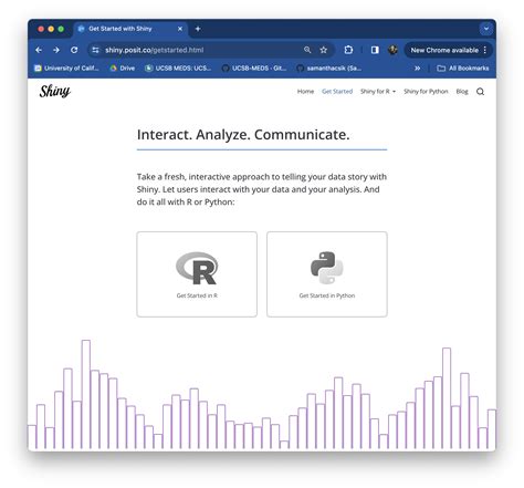 R Shiny for Python 的图像结果