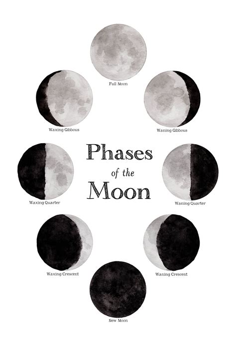 Phases Of The Moon Printable - Printable Board Games