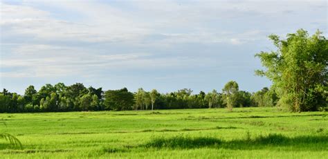 Undeveloped Land 的图像结果