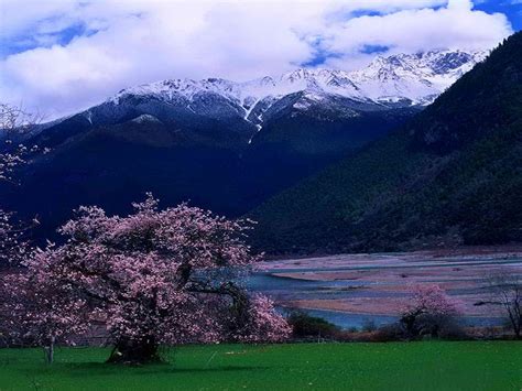 西藏林芝有几个景点-西藏“林芝”有什么好看的景区吗？
