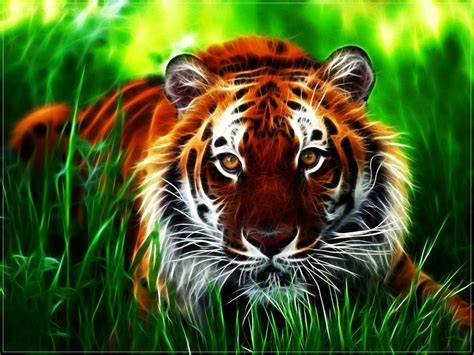 Image result for Pavan Java for Loop Example