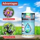 Multiplex General Liquid (Micronutrient Liquid Fertilizer) – Agriplex